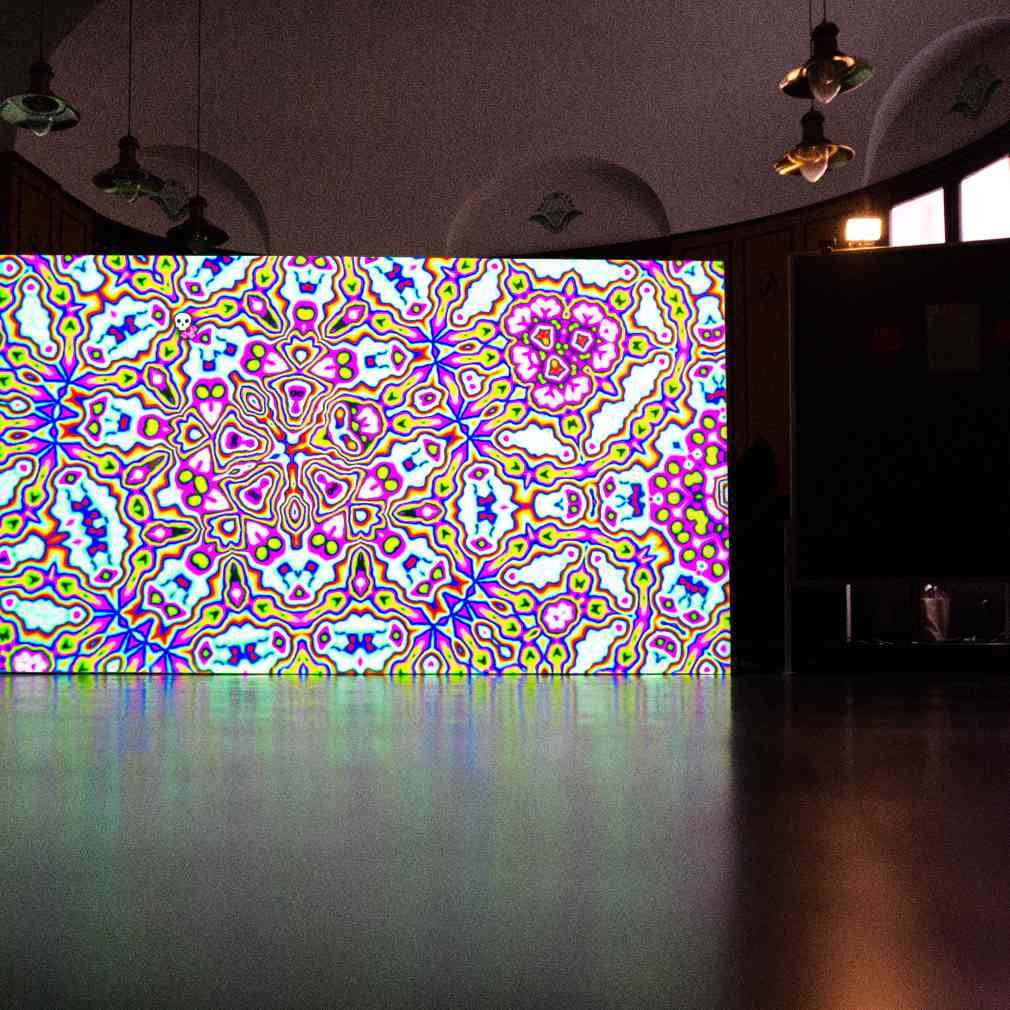 "Floral Neurons" Interactive Installation at MARKK Museum in Hamburg